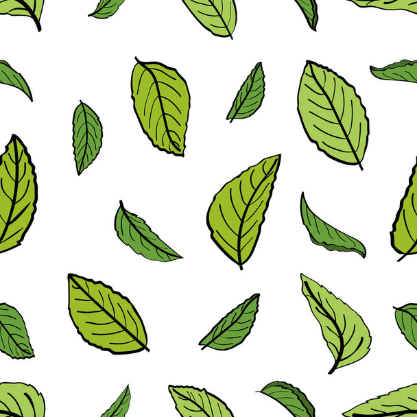 Seamless pattern with leaves  of a tea plant.Set of tea plant branches and leaves. Silhouettes of branches and leaves of a tea bush.Skcetch of tea leaves. - Vecteur, image