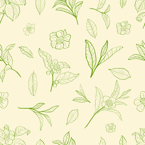 Seamless pattern with leaves  of a tea plant.Set of tea plant branches and leaves. Silhouettes of branches and leaves of a tea bush.Skcetch of tea leaves. - Вектор,изображение
