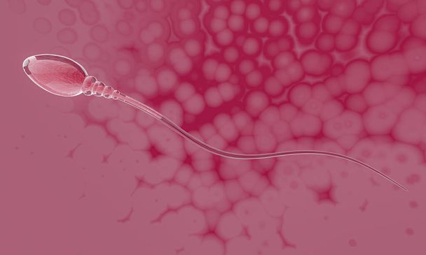 primer plano simula espermatozoides para la reproducción humana Su cabeza es delgada, ovalada y tiene una cola larga, piel clara, núcleo visible. Renderizado 3D - Foto, Imagen