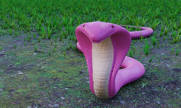 Die rosa Kobra breitet die Kapuze aus. Hebe dich, um dich auf den Angriff vorzubereiten. Eine Schlange kriecht auf den Boden Dort ist Gras zugewachsen. Die giftigen Reptilien sind eine Gefahr für die Welt. 3D-Rendering - Foto, Bild