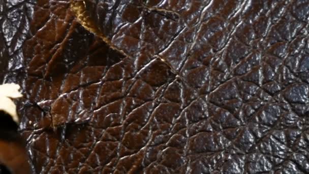 Shabby y desgastado fondo de piel sintética marrón textura con grietas y daños, fondo reparador. Peeling sofá de cuero sintético, primer plano - Metraje, vídeo