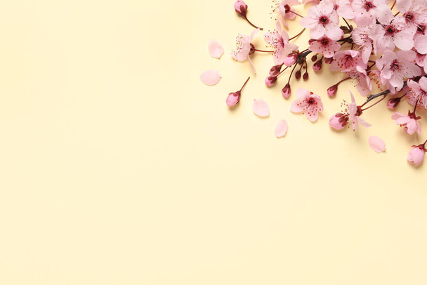 Cherry tree branch with beautiful pink blossoms on beige background, flat lay. Space for text - Photo, Image