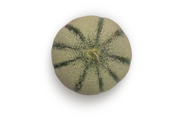 Melon isolated on white background. - Photo, Image