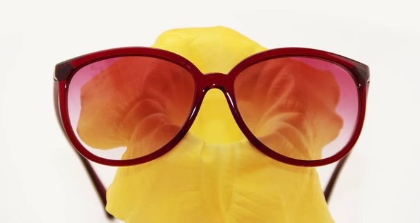 γυναικεία γυαλιά ηλίου σε πλαστικά πλαίσια με φακούς - Φωτογραφία, εικόνα