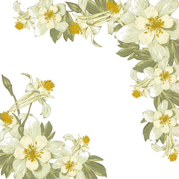 Рамка з білими квітами
 - Вектор, зображення
