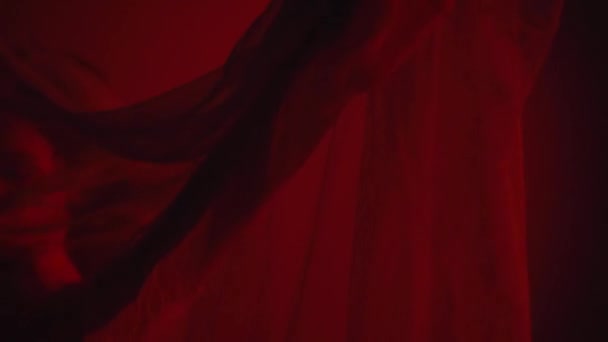 iluminación intermitente en la mujer joven cerca de gasa cortina en púrpura y rojo - Imágenes, Vídeo