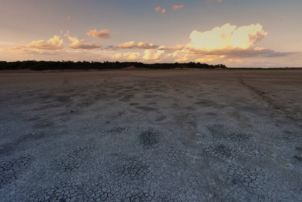Засохшая почва в лагуне Пампас, провинция Ла Пампа, Патагония, Аргентина. - Фото, изображение
