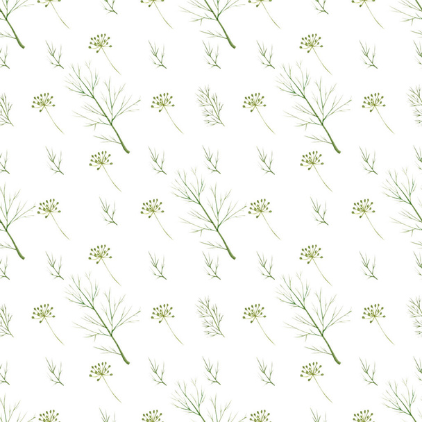 Bezešvé bylinný vzor s akvarelem zelené aromatické kopru - Fotografie, Obrázek