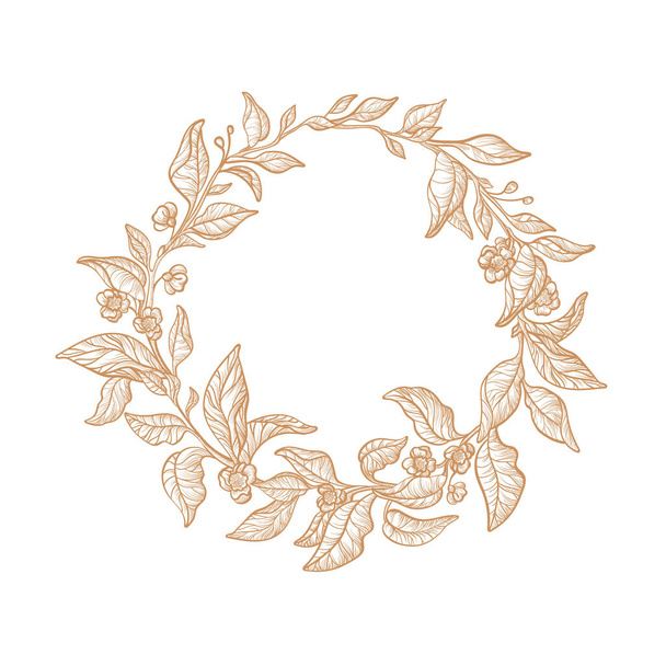 Tea branch, flower. Vector floral wreath. Art line, hand drawn pattern. Herbal organic plant in bloom. Round vintage symbol. Elegant golden illustration on white background - ベクター画像