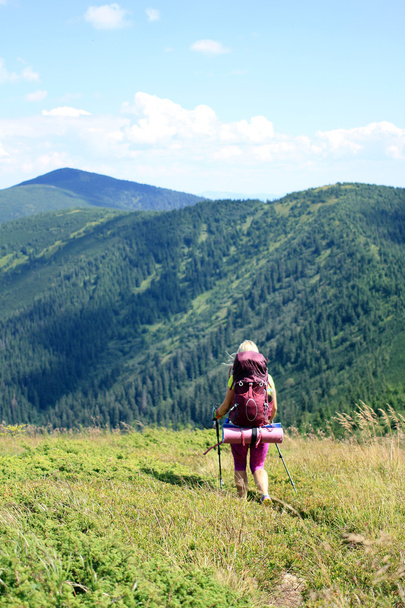 Summer trekking in the Carpathians. - Foto, immagini