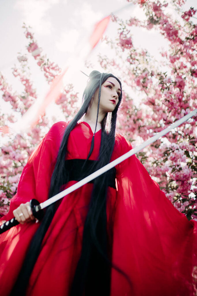 Young woman portrays geisha dressed traditional kimono with Japanese samurai sword in her hand against background of blooming sakura trees. Backlight. - Fotó, kép