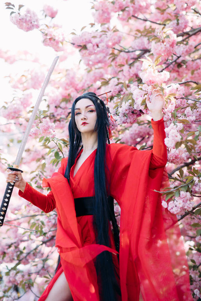 Young woman portrays geisha dressed traditional kimono with Japanese samurai sword in her hand against background of blooming sakura trees. Backlight. - Photo, Image