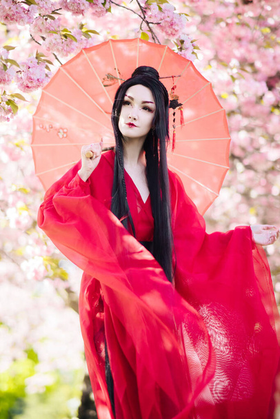Young woman in image of geisha walks between blooming sakura trees dressed japanese traditional kimono with umbrella in her hand. - Photo, Image