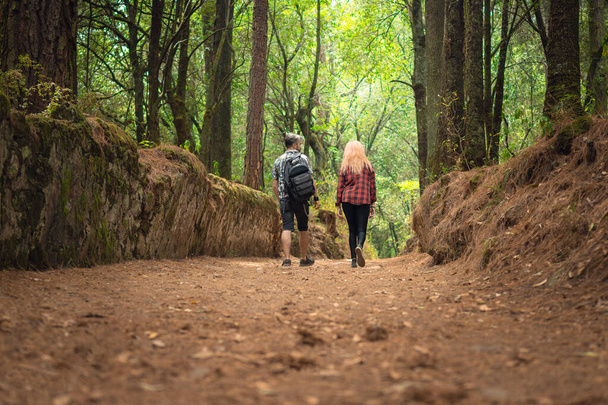 Coppia che cammina attraverso la foresta schiena a schiena, concetto di escursione all'aperto, giornata nel parco coppia che si tiene per mano - Foto, immagini