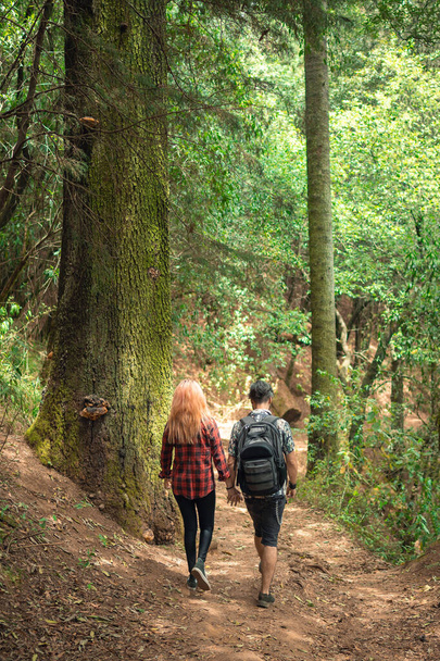 Couple walking through the forest back to back, outdoor excursion concept, day in the park couple holding hands - Photo, Image
