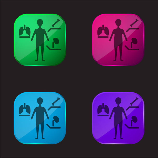 Anatomie čtyři barvy skleněné tlačítko ikona - Vektor, obrázek