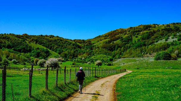 donna cammina sul sentiero nella verde valle. Valle delle orchidee, Campania, Italia - Foto, immagini