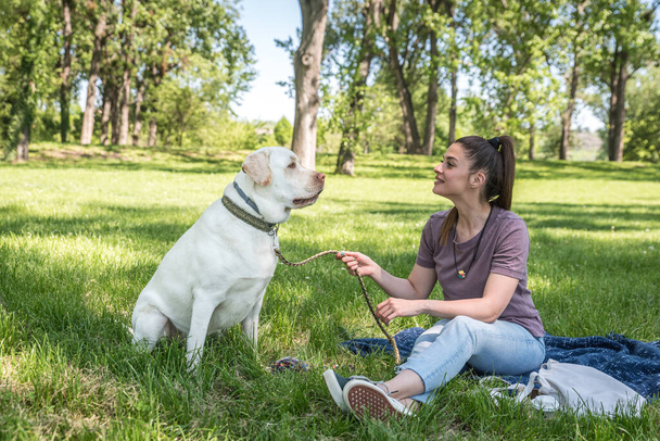 Young beautiful woman playing in the park with her pet dog Golden Labrador Retriever and enjoying a beautiful warm sunny day as best friends - Foto, afbeelding