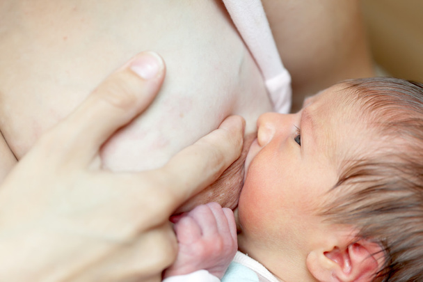 newborn baby sucks breast   - 写真・画像