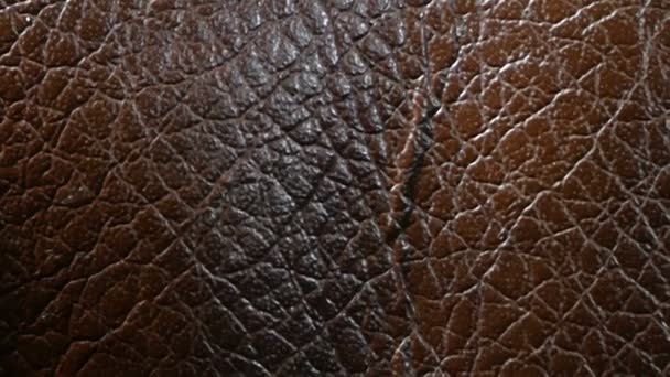 Bruine lederen textuur en achtergrond, close-up - Video