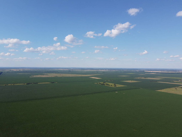 Hatalmas kukoricaföld egy napos nyári napon, légi kilátással. Kék ég a zöld gazdaság felett, táj. - Fotó, kép