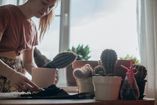 Mujer joven trasplantar cactus en casa. Hermosa chica en el trabajo con plantas de la casa en el apartamento. Flor en maceta de primavera cuidado - Foto, imagen