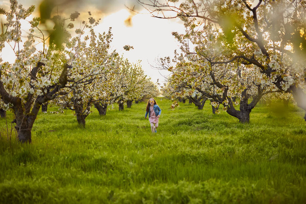 Menina feliz correndo no jardim de grama verde com cereja florescendo paisagem árvore fundo. Conceito de viagem na estação de primavera. - Foto, Imagem