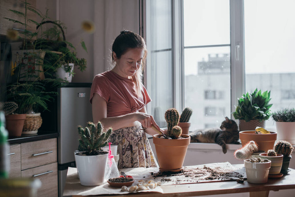Молода жінка пересаджує кактуси вдома. Красива дівчина на роботі з домашніми рослинами в квартирі. Весняний догляд за квітами. Кіт лежить на підвіконні
 - Фото, зображення