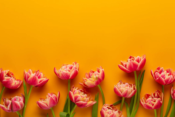 Flores de primavera. Tulipanes sobre fondo de colores amarillos. tarjeta de felicitación estilo retro vintage. Día de la madre, tarjeta de felicitación de Pascua. - Foto, Imagen