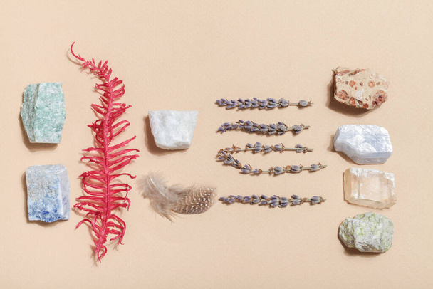 Trockener Farn, Lavendel und Kristallmineralien auf beigem Hintergrund. Magischer Felsen für Kristall-Ritual - Foto, Bild