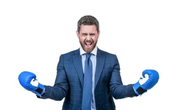 hombre de negocios gritando enojado en traje y guantes de boxeo aislados en blanco, ira. - Foto, imagen