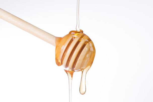 Honey diping and dipper isolated - Photo, image