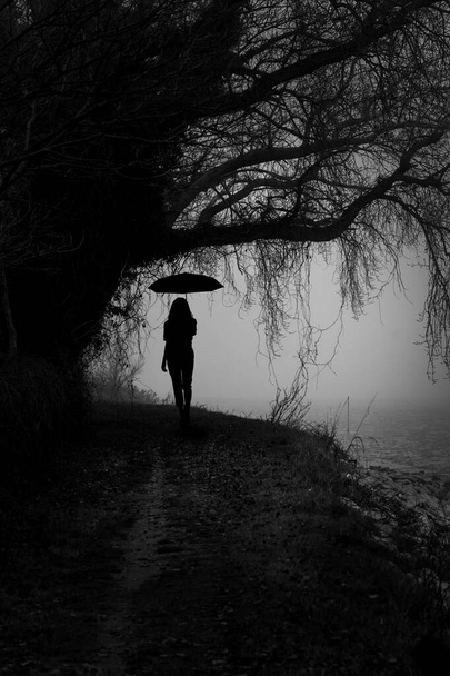 Büyük bir ağacın altından geçerken şemsiyeli bir insan silueti. - Fotoğraf, Görsel