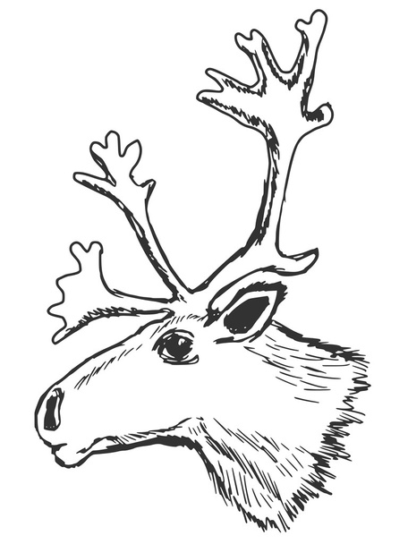 reindeer - Vector, Image