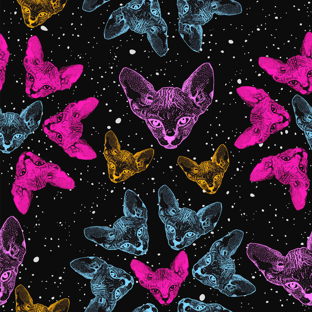 Sphinx cat, kittens. The flowers from heads cat on the background of the starry sky, space. Prints for clothes, Space theme, T-shirts. Vector - Διάνυσμα, εικόνα