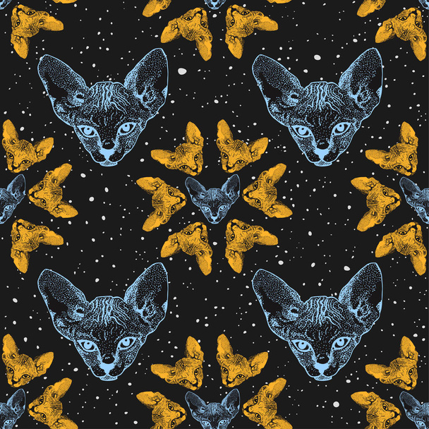 Sfinx kat, kittens. De bloemen van hoofden kat op de achtergrond van de sterrenhemel, de ruimte. Prenten voor kleding, Ruimtethema, T-shirts. Vector - Vector, afbeelding