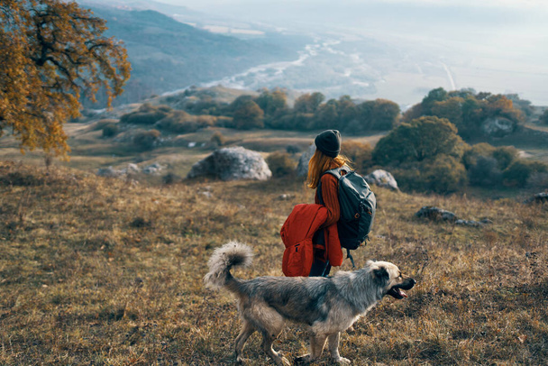 woman hiker in autumn clothes next to a dog walks on nature mountains - Photo, Image