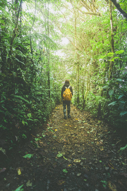 turistka s batohem, prales v blízkosti sopečného národního parku Arenal, costa rica - Fotografie, Obrázek