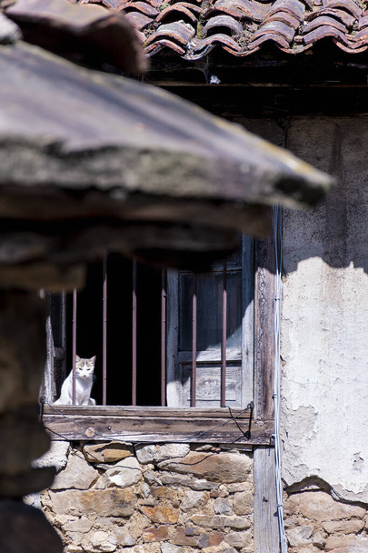 Eski bir evin parmaklıklı penceresinin arkasında oturan beyaz kedi ve odak dışı taş bir duvarın yakın çekimi. Fotoğraf güneşli bir günde dikey olarak çekildi.. - Fotoğraf, Görsel