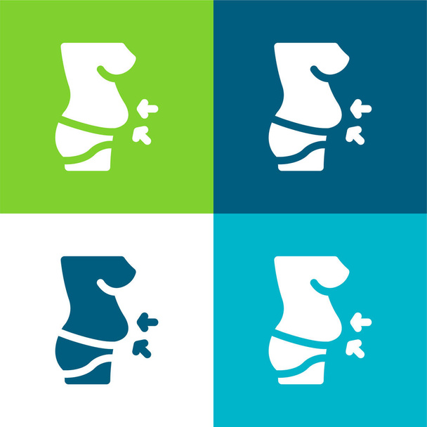 Κοιλιά Επίπεδη τέσσερις χρώμα ελάχιστο σύνολο εικονιδίων - Διάνυσμα, εικόνα