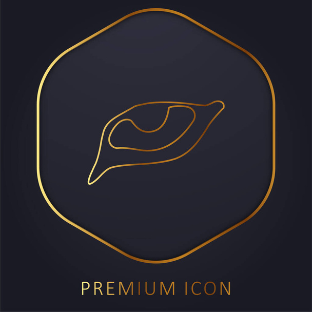 Animal Eye golden line premium logo or icon - Vector, Image