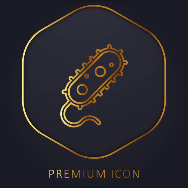 Логотип или значок премиум-бренда Baca Golden Line - Вектор,изображение