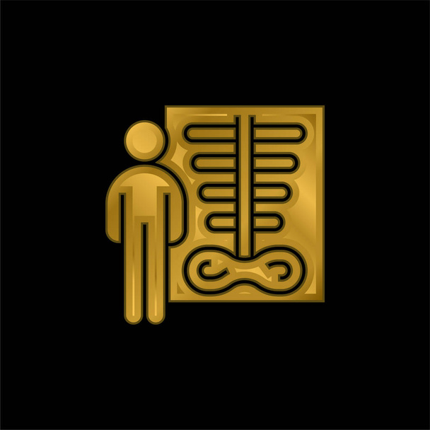 Bone Density gold plated metalic icon or logo vector - Vector, Image