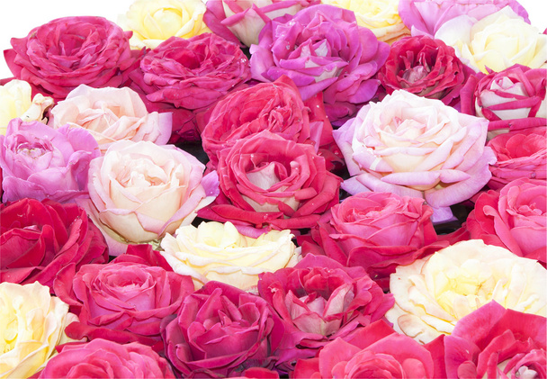 Tausta vaaleanpunaisia ruusuja
 - Valokuva, kuva
