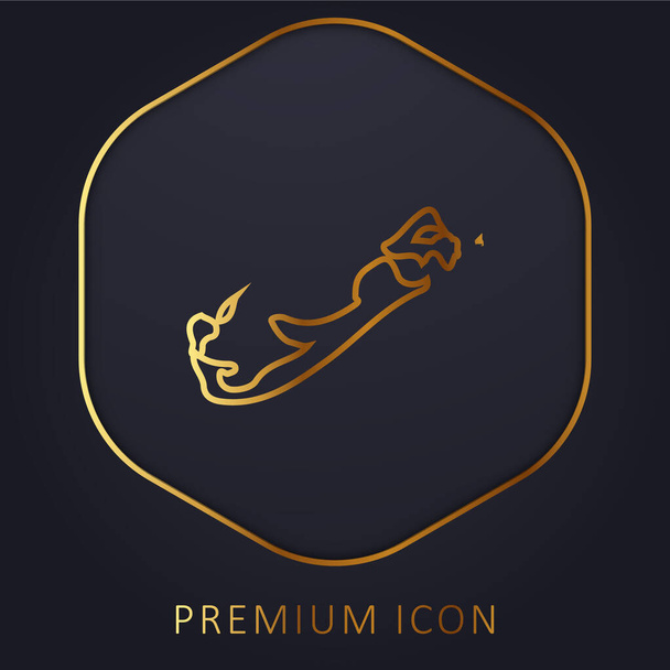 Bermuda gouden lijn premium logo of pictogram - Vector, afbeelding