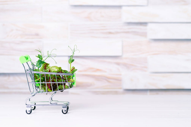 Fresh eco greens delivery concept, young microgreens in a shopping basket on a wooden table. - 写真・画像