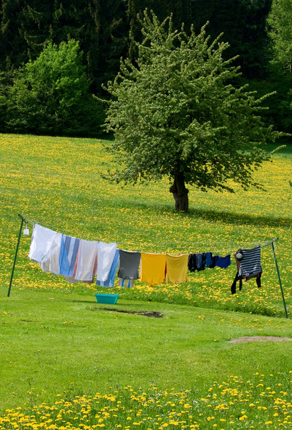 Wäscheleine in einem Frühlingsfeld - Foto, Bild