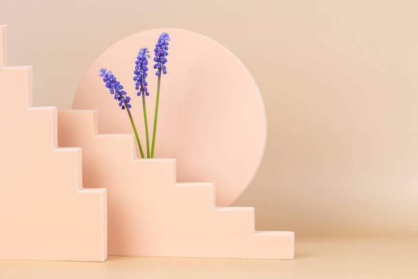 Trendy lentecomponent met geometrische vormen en blauwe muscari bloemen. Podium platform voor productpresentatie en voorjaarsbloemen op pastel beige achtergrond. Vooraanzicht - Foto, afbeelding
