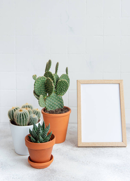 Kaktukset ja mehukas kasvi ruukuissa ja mallintaa julisteen runko pöydälle  - Valokuva, kuva