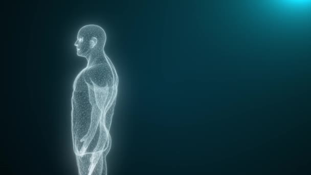 Het menselijk lichaam is opgebouwd uit lijnen - Video